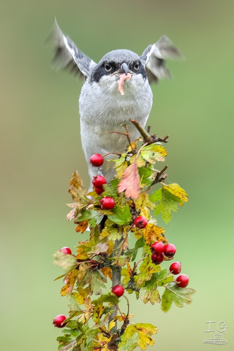 20211023 AK6I0400 insta